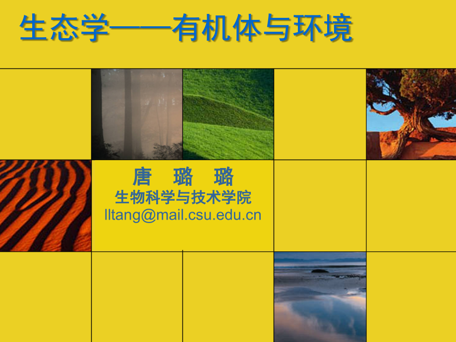 有机体与环境1.ppt_第1页