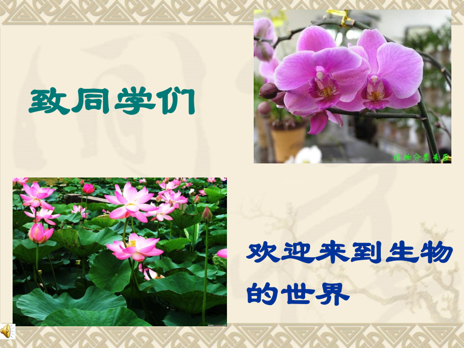 致同学们-(4).ppt_第1页