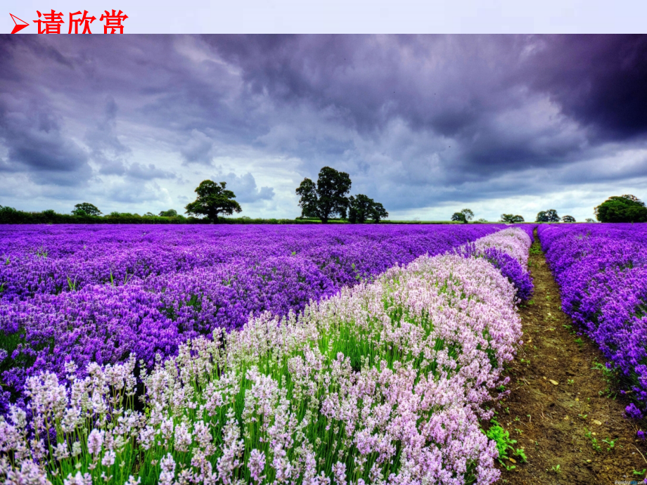 致同学们-(4).ppt_第2页