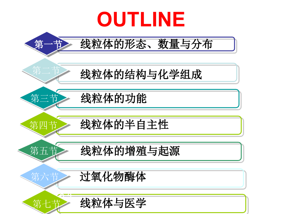 第7章线粒体与能量代谢.ppt_第2页