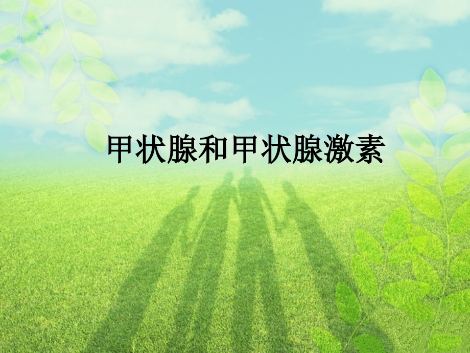 甲状腺和甲状腺激素.ppt_第1页
