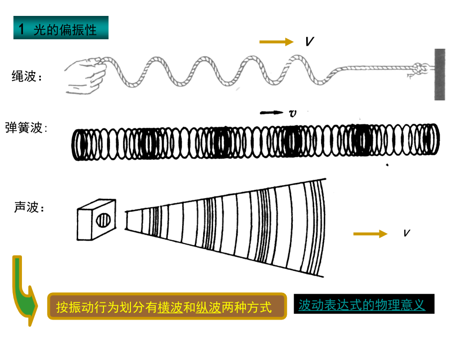光学教程第5章.ppt_第2页