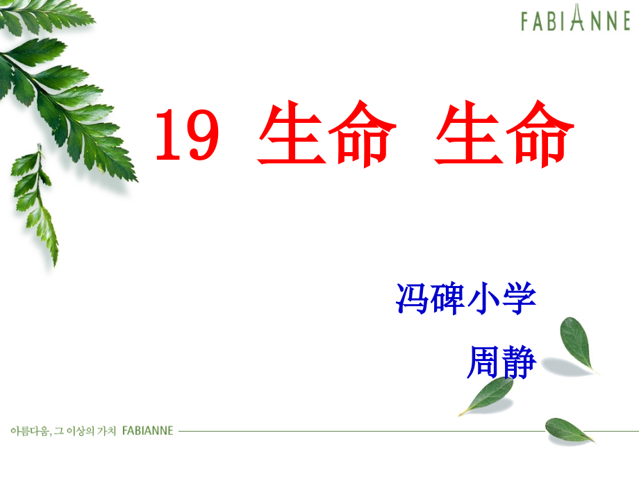 生命-生命.ppt_第1页