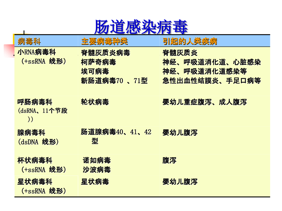 第26-27章-肠道、急性胃肠炎病毒课件.ppt_第2页