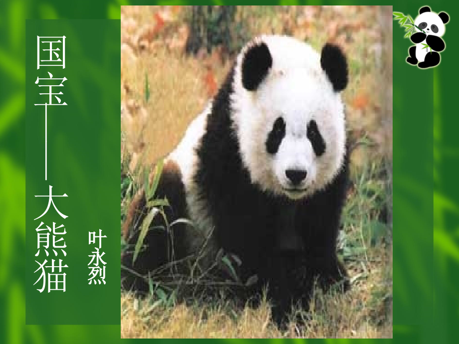 国宝-大熊猫.ppt_第2页