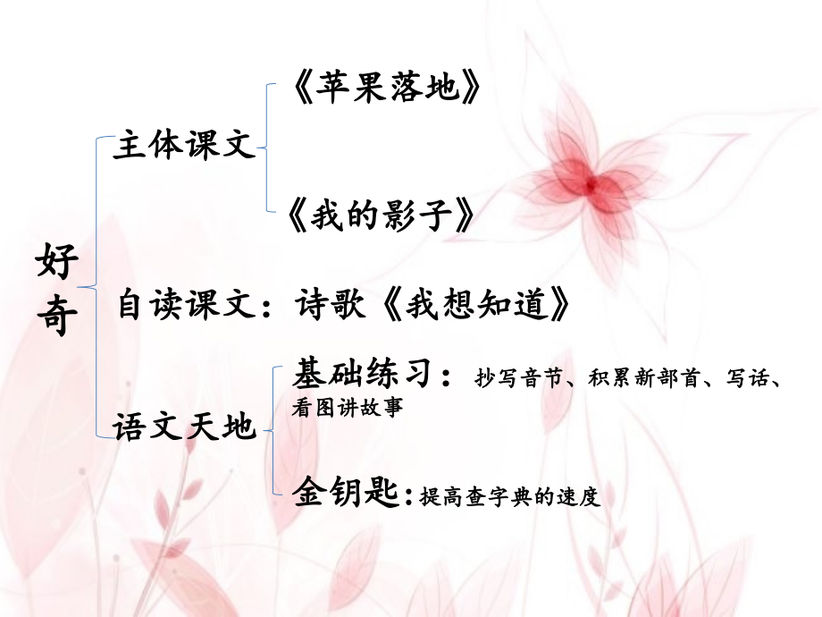 我的影子说课稿.ppt_第1页