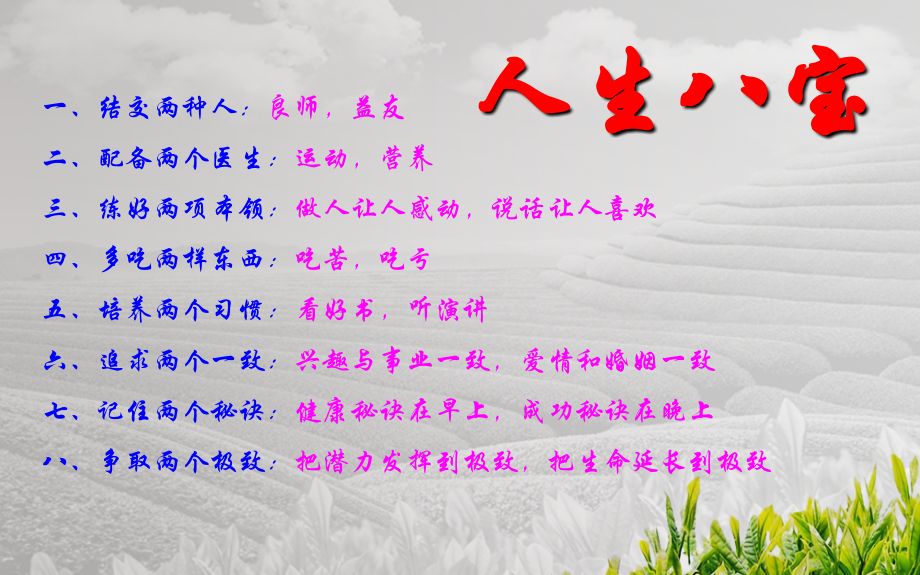 人生八大宝.ppt_第2页