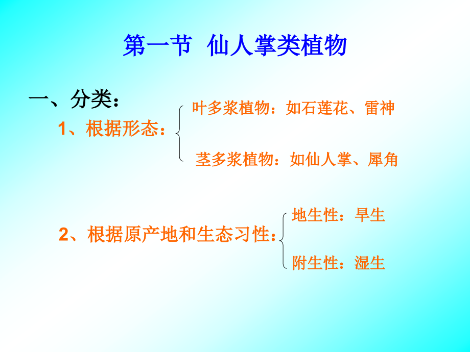 仙人掌类及多浆类植物.ppt_第2页