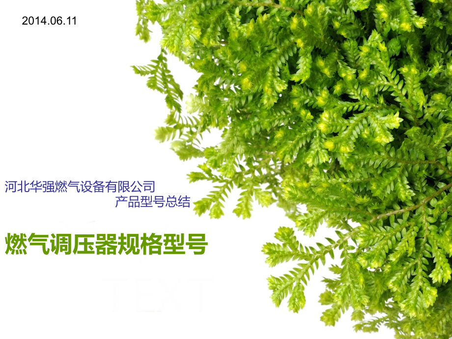燃气调压器规格型号.ppt_第1页