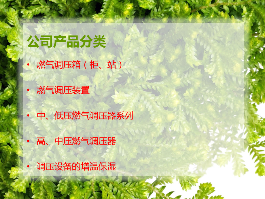 燃气调压器规格型号.ppt_第2页