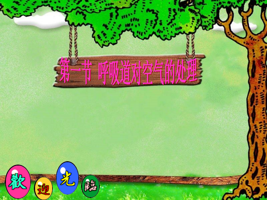 呼吸道对空气的处理gaihaode1.ppt_第1页