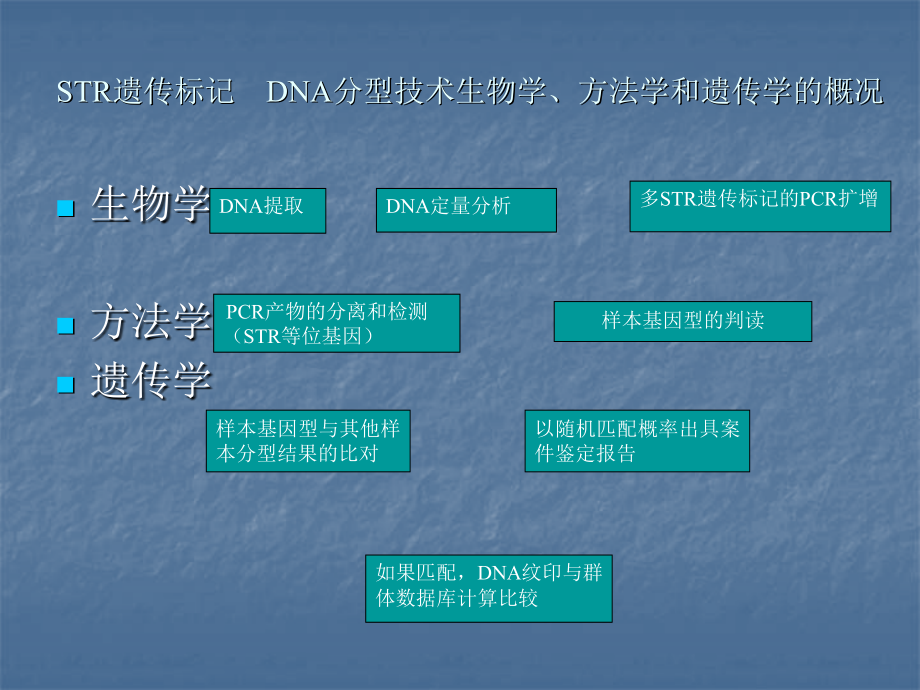 法医DNA分型.ppt_第2页