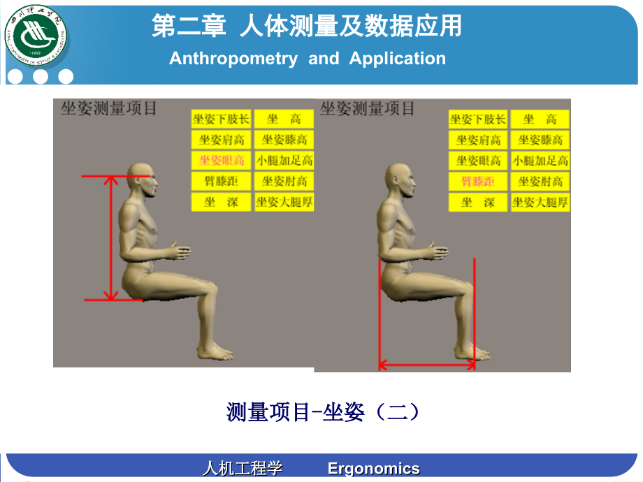 第二章 人体测量及数据应用2.ppt_第2页