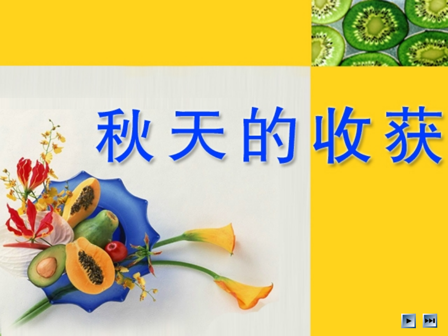 秋天的收获——神奇的瓜果蔬菜.ppt_第2页