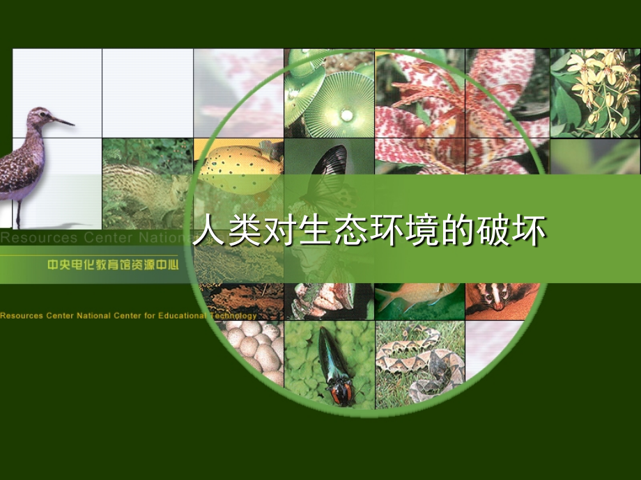 人类对生态环境的破坏.ppt_第1页