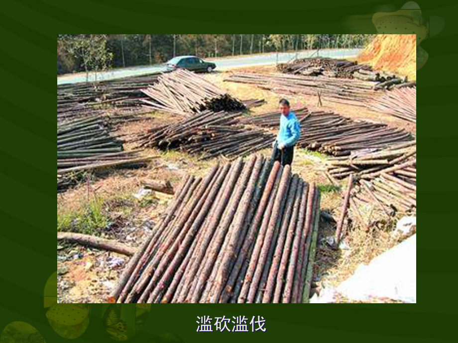 人类对生态环境的破坏.ppt_第2页