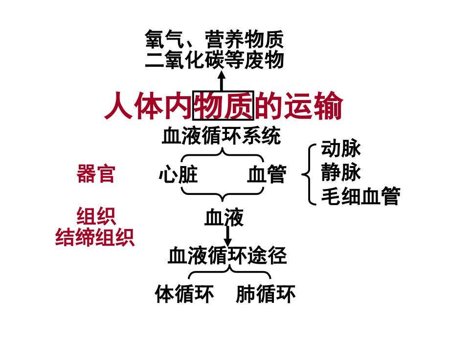第三章-人体内的物质运输(通用).ppt_第1页
