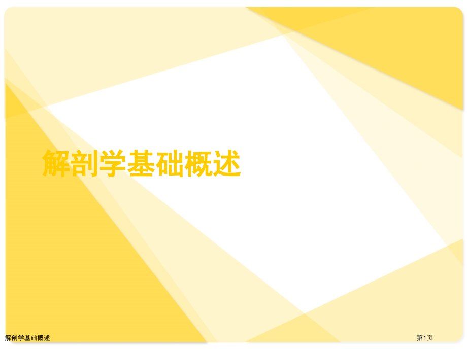 解剖学基础概述.pptx_第1页