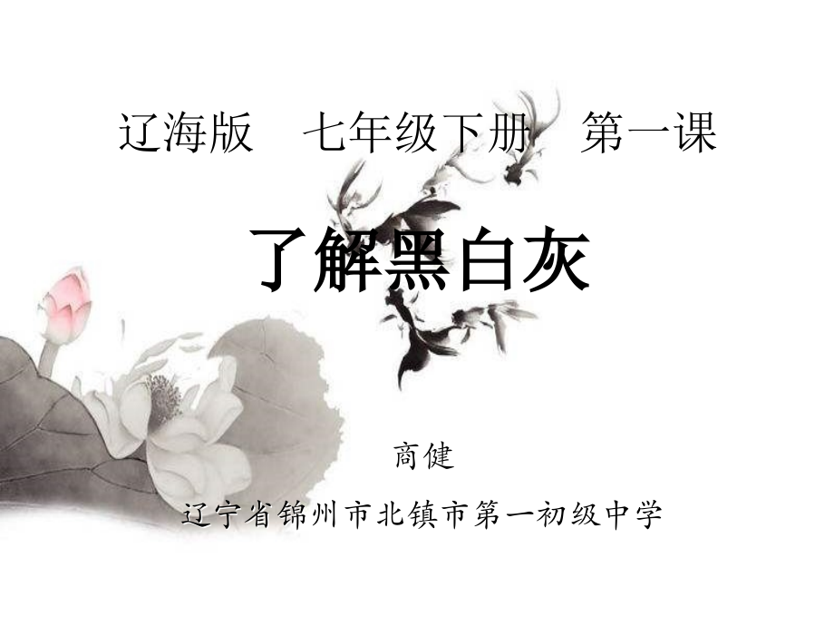 第课了解黑灰白.ppt_第1页