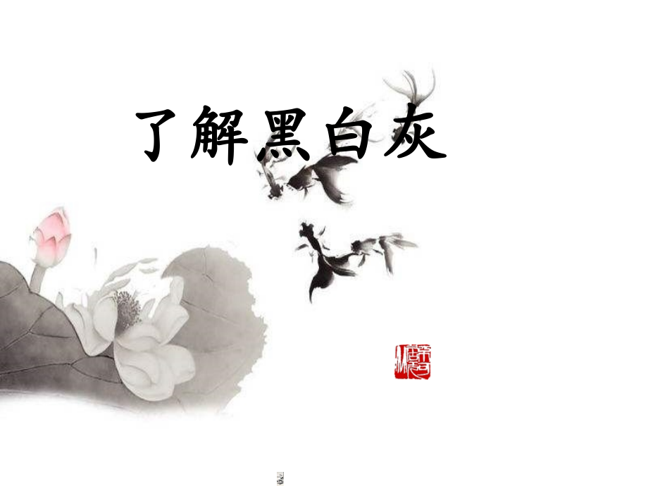 第课了解黑灰白.ppt_第2页