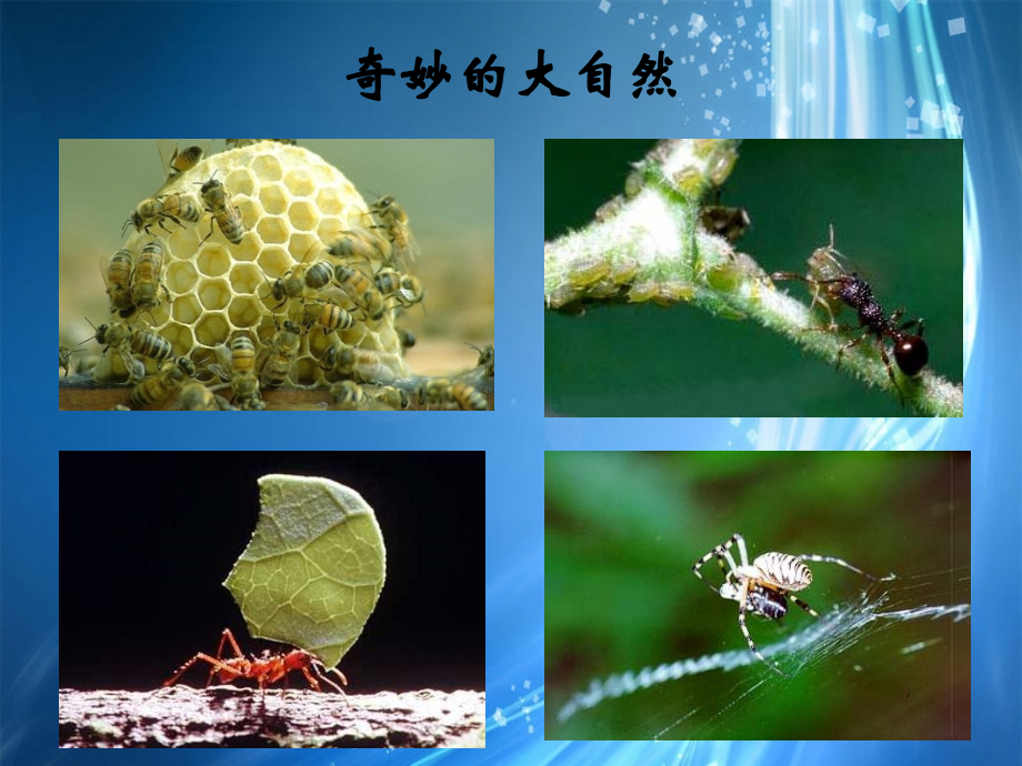浙江省桐庐县富春江初级中学七年级科学上册-1.1科学并不神秘课件3-浙教版.ppt_第2页