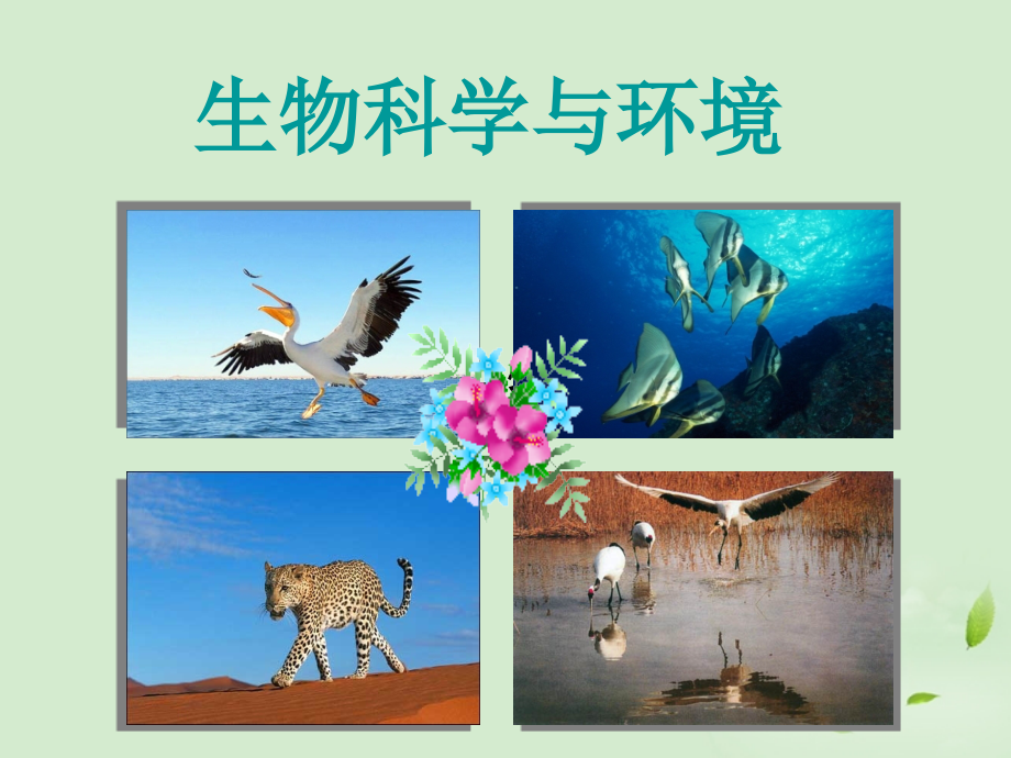 高中生物-4.1《生物性污染及其预防》课件(4)-新人教版选修2.ppt_第1页