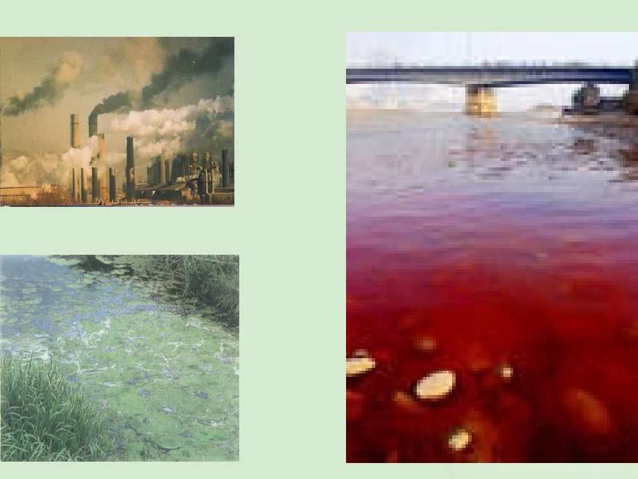 高中生物-4.1《生物性污染及其预防》课件(4)-新人教版选修2.ppt_第2页