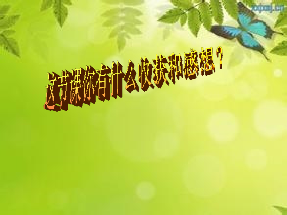 平行四边形的认识实践作业.ppt_第2页