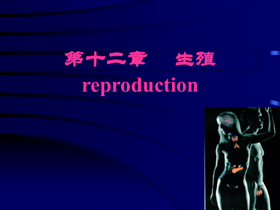 第十二章--生殖(1学时).ppt_第1页