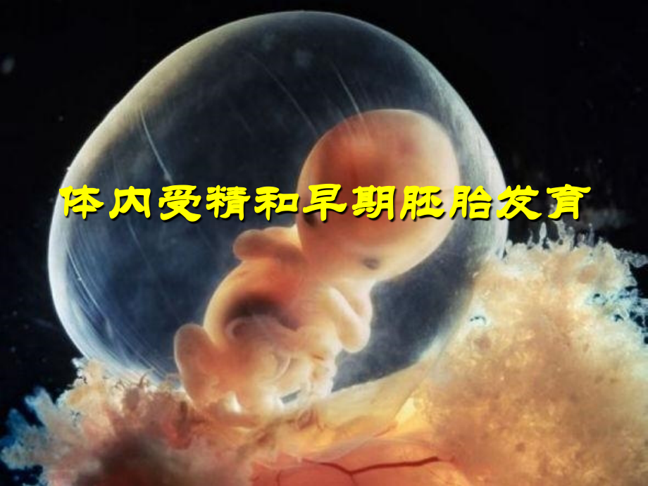 公开课-体内受精和早期胚胎发育.ppt_第1页