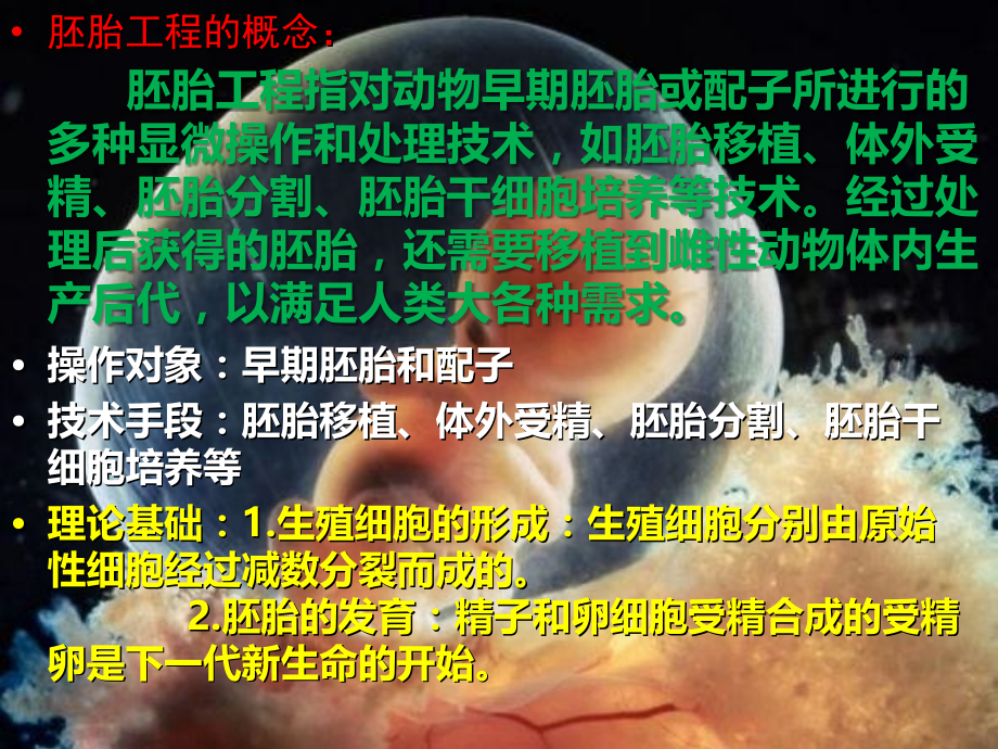 公开课-体内受精和早期胚胎发育.ppt_第2页