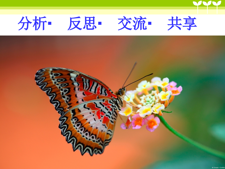 九年级英语讲评课课件.ppt_第2页