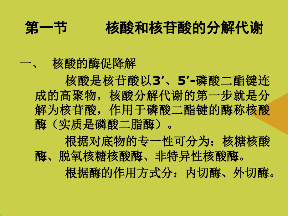 第十二章核苷酸代谢核苷酸的生物功能合成核酸是多种.ppt_第2页