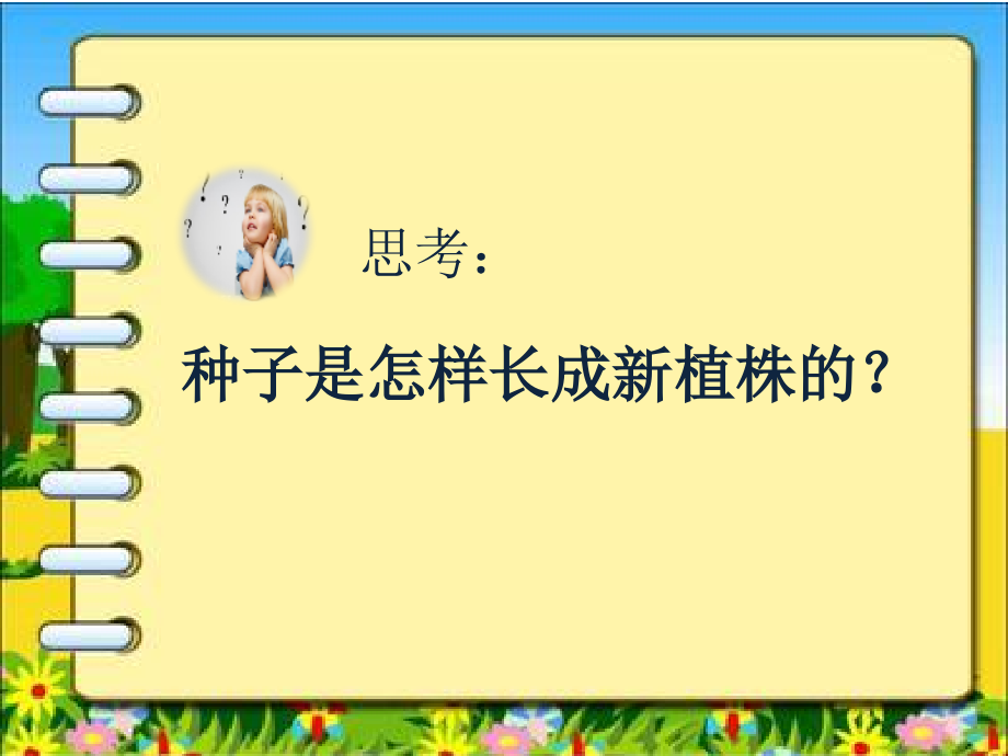 《种子的构造》课件.pptx_第2页