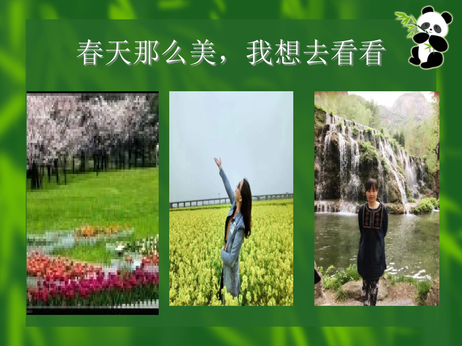 综合性学习--寻觅春天的踪迹.ppt_第2页
