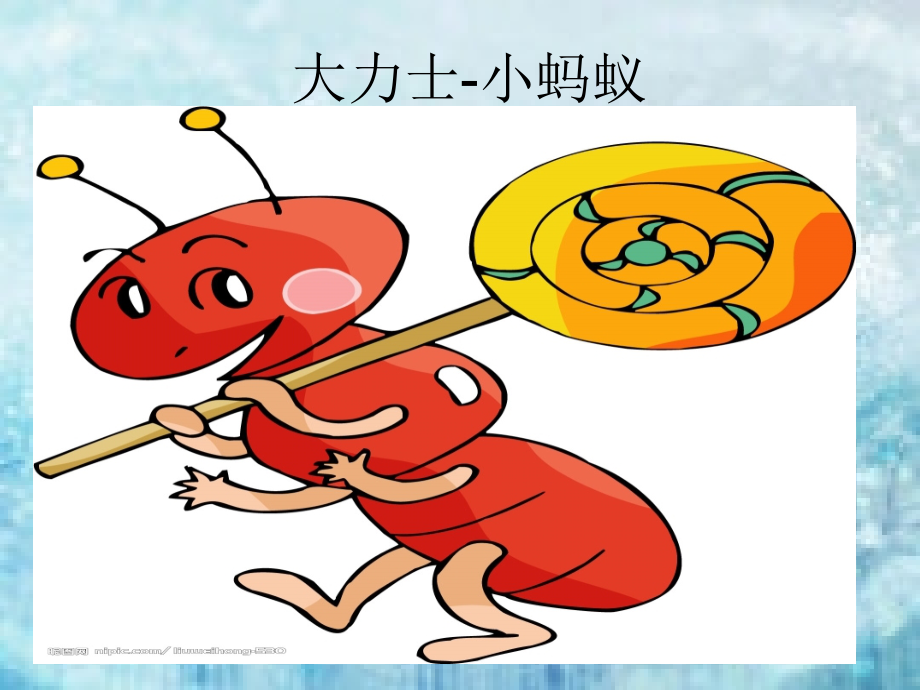 大力士-小蚂蚁 关于蚂蚁的ppt演讲.ppt_第1页