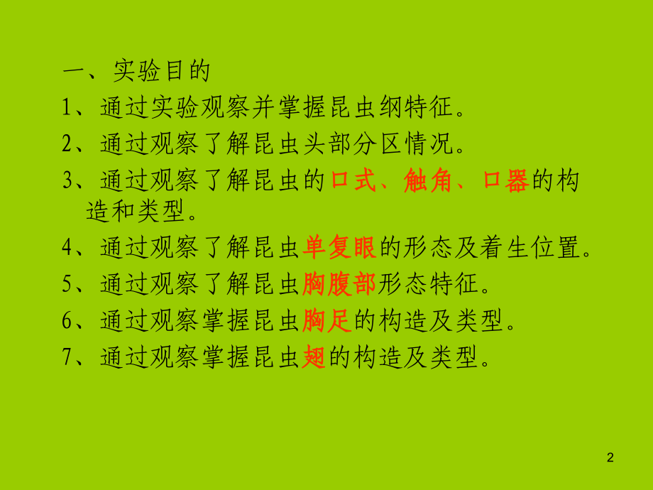 昆虫的外部形态特征观察.ppt_第2页