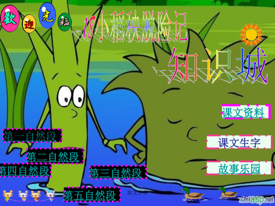 小学三年级上学期语文《小稻秧脱险记》优质课PPT课件.ppt_第1页