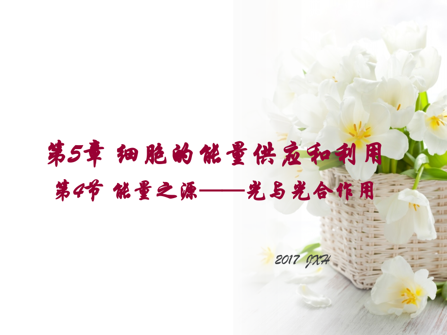 影响光合作用的因素(蒋笑虹).ppt_第1页