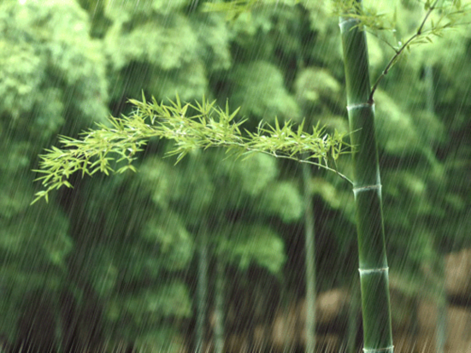 《雨说——为生活在中国大地上的儿童而歌》课件1.ppt_第2页