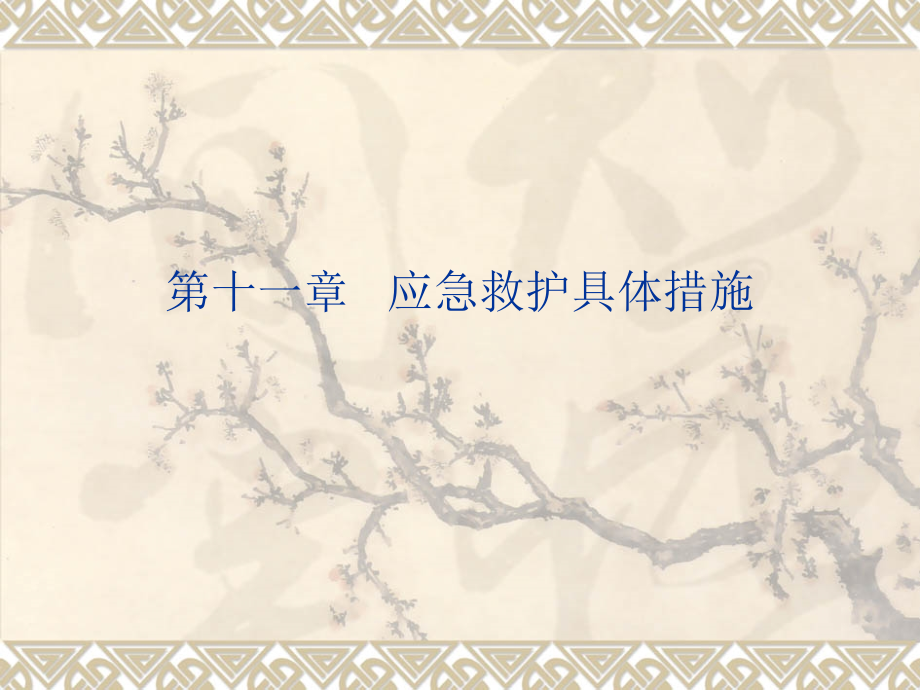 第十一章 应急救护具体措施.ppt_第1页