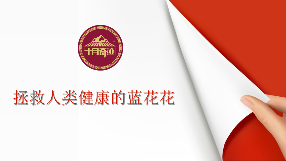 十月奇迹PPT.ppt_第1页