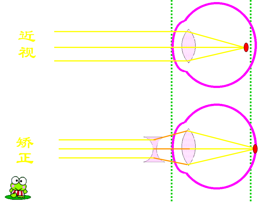 七下3-4-4(2)人日对周围世界的感知耳与听觉.ppt_第2页