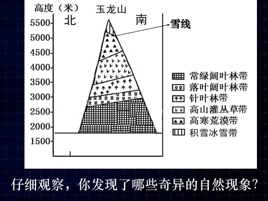 垂直地带性8.ppt_第2页