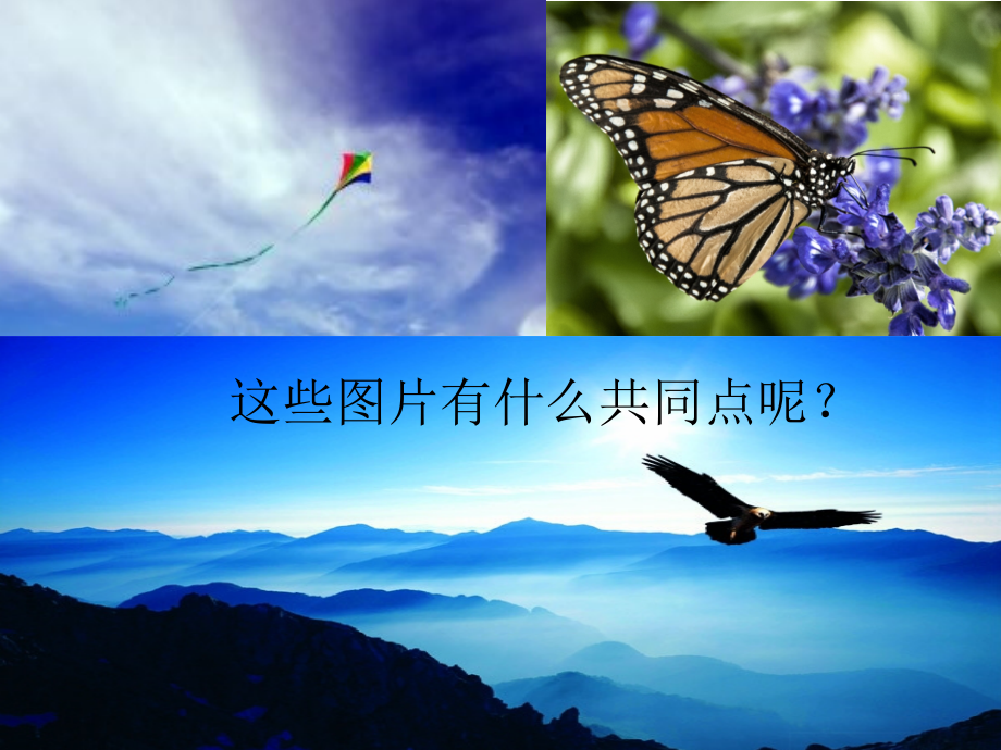 航空货物运输.ppt_第2页