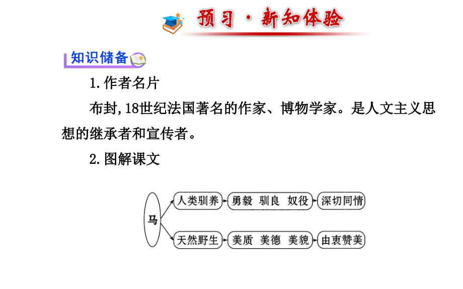 《马》课件8.ppt_第2页