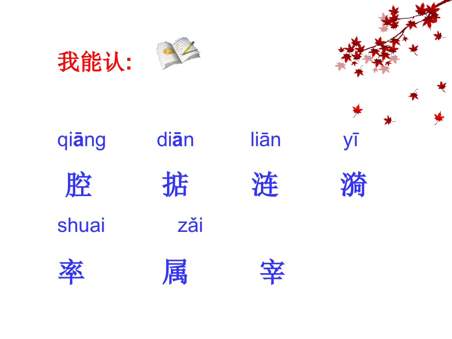 白公鹅课件PPT.ppt_第2页