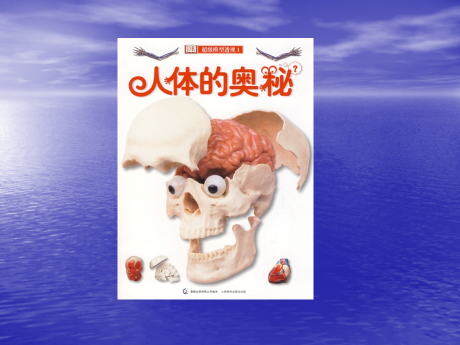 医学知识讲座.ppt_第2页