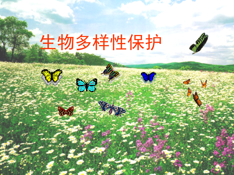 第四节生物多样性保护-(5).ppt_第1页