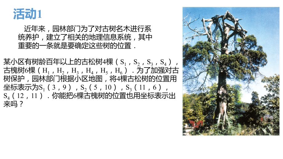 数学活动-(3).ppt_第2页
